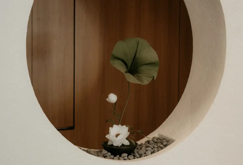 Panduan Memilih Tempat Spa dan Wellness yang Nyaman untuk Couple atau Keluarga