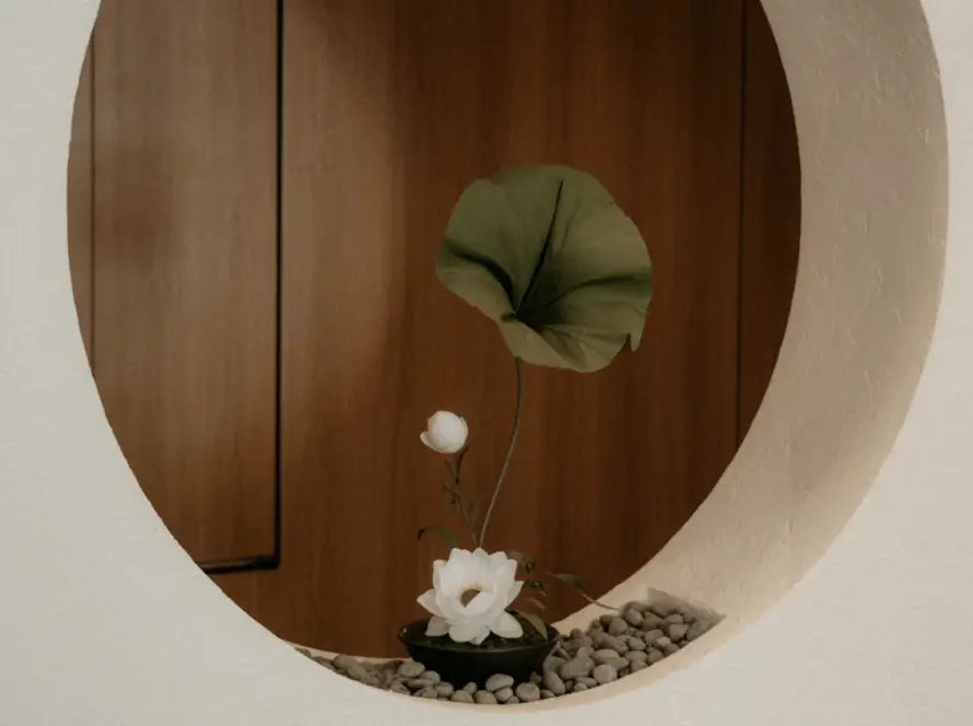 Panduan Memilih Tempat Spa dan Wellness yang Nyaman untuk Couple atau Keluarga