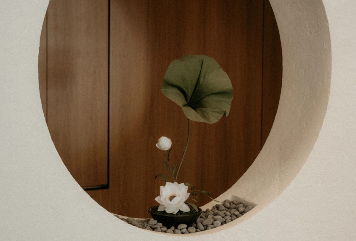 A Guide to Choosing a Comfortable Spa and Wellness Destination for Couples or Families